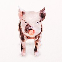 Piglet watercolor illustration, cute farm design psd