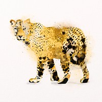 Leopard watercolor illustration, animal design psd