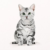 American shorthair cat watercolor illustration, pet design psd