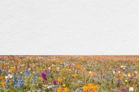 Spring flower field background, aesthetic border with paper texture