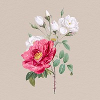 Sparkly peony flowers clipart, aesthetic vintage illustration