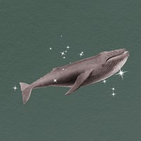 Glittery whale, surreal clipart, animal illustration psd