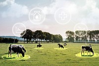 Smart dairy farming, agricultural technology psd