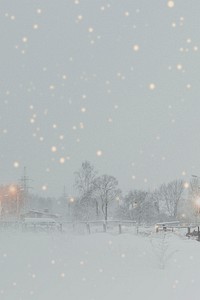 Snowy park in the evening