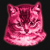 Pink cat sticker illustration