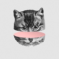 Staring cat sticker illustration