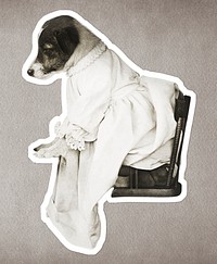 Dog wearing a dress sticker illustration