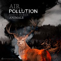 Air pollution and wildlife campaign social template illustration