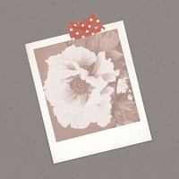 Peony on an instant photo frame with washi tape on a gray background 