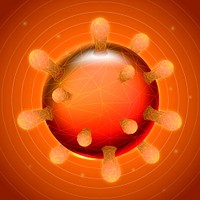 Orange coronavirus cell vector