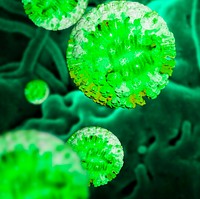 Green coronavirus cells background illustration