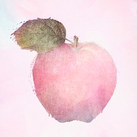 Pink apple watercolor illustration