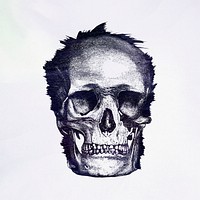 Vintage skull engraving style illustration