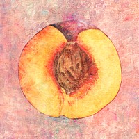 Hand drawn sliced peach illustration