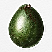 Hand drawn avocado sticker overlay with a white border