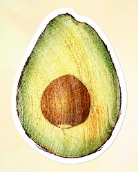 Hand drawn avocado sticker design element