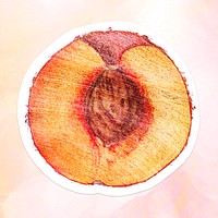 Hand drawn half of peach fruit sticker with white border