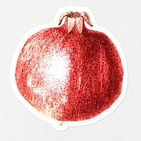 Hand colored red pomegranate fruit sticker with white border