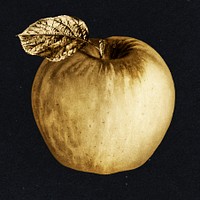 Gold apple fruit sticker design element