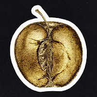 Gold apple cut in a half sticker with a white border