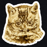 Gold cat sticker with a white border