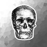 Crystallized skull sticker overlay with a white border illustration