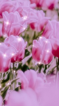 Sparkle tulip floral background image