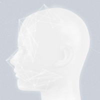 Facial recognition biometric security system