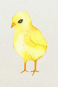Yellow Easter bird design element cute watercolor illustration