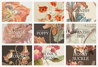 Vintage floral template psd illustration set, remixed from public domain artworks