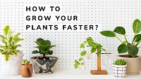 Growing plant guide template psd