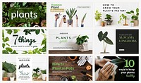 Plant parent beginner template psd guide set