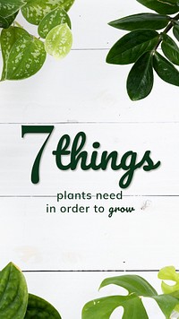 Growing plant guide template psd