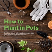 Plant in pot template psd