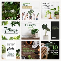 Plant parent beginner template psd guide set