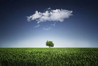 Tree under the cloud. Original public domain image from <a href="https://commons.wikimedia.org/wiki/File:Tree-736887.jpg" target="_blank">Wikimedia Commons</a>