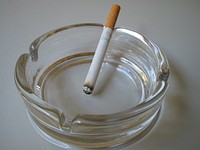 A newly lit cigarette resting in a clean ashtray. Original public domain image from Wikimedia Commons