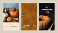 Thanksgiving greeting vector editable template set for social media stories