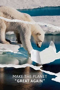 Global warming awareness template psd with ripped polar bear background