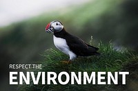 Respect the environment template psd with puffin in nature