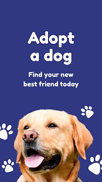 Pet shelter Facebook story template for social media advertisement vector