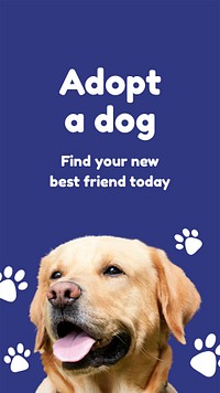 Dog adoption Instagram post template for social media advertisement psd