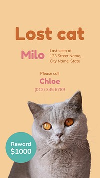 Lost cat Facebook story template for social media advertisement psd