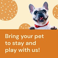 Pet hotel Instagram post template for social media advertisement vector