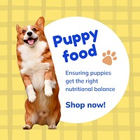 Puppy food Instagram post template for social media advertisement vector