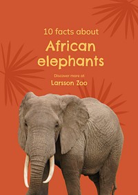 Animal facts poster template, elephant design psd