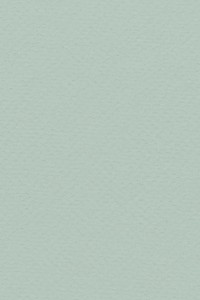 Sage green background, paper texture design 