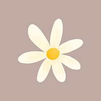 White daisy sticker, cute flower clipart vector