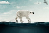 Global warming background, environmental background psd, polar bear walking on melted ice