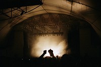 Silhouettes of the audience's hands in the air during a concert. Original public domain image from <a href="https://commons.wikimedia.org/wiki/File:Silhouettes_against_pale_stage_smoke_(Unsplash).jpg" target="_blank" rel="noopener noreferrer nofollow">Wikimedia Commons</a>